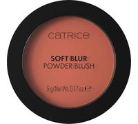 Catrice Soft Blur Powder Brush blush poudre effet mat teinte 030 Cinnamon Sugar 5 g