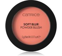 Catrice Soft Blur Powder Brush Blush Poudre Effet Mat Teinte 010 Lychee Lush 5 G