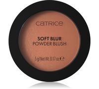 Catrice Soft Blur Powder Brush blush poudre effet mat teinte 050 Born to blonze 5 g