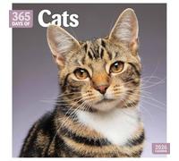 Cats 365 Days Square Wall Calendar 2026