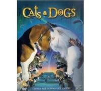 Cats And Dogs G