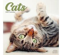 Cats Calendar 2026 Square Cat Wall Calendar - 16 Month