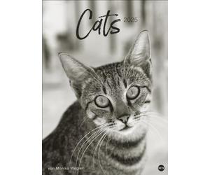 Cats Edition Calendrier 2025 : élégant motif pattes de velours noir et blanc dans un calendrier XXL. Calendrier animaux 2025 grand format. Calendrier photo de qualité supérieure pour les fans de