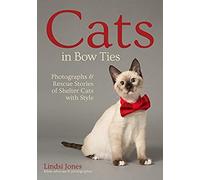Cats In Bow Ties