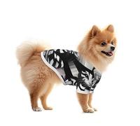 Cats in Mime Chemise en maille pour chien - Léger et respirant, à séchage rapide, extensible, pour petits chiens