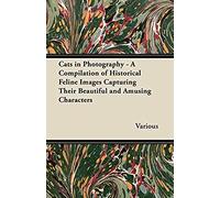 Cats In Photography - A Compilation Of Historical Feline Images Capturing Their Beautiful And Amusing Characters