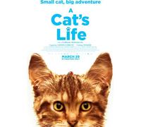 Cat's Life [Digital Video Disc] Ac-3/Dolby Digital