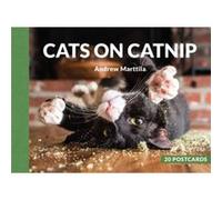 Cats on Catnip 20 Postcards by Andrew Marttila Andrew Marttila (Auteur)