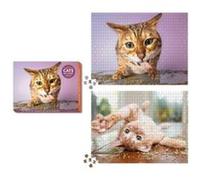 Cats on Catnip 2in1 DoubleSided 1000Piece Puzzle by Andrew Marttila Andrew Marttila (Auteur)