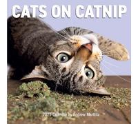 Cats on Catnip Wall Calendar 2025