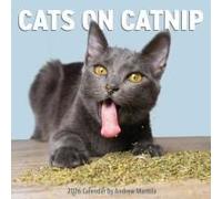 Cats On Catnip Wall Calendar 2026