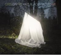 Cats on Fire - All Blackshirts to Me [Import]