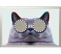 Cats - Poster - Eyes + cadre interchangeable, Shinsuke® Maxi aluminium argenté, vitre acrylique