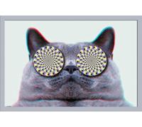 Cats - Poster - Eyes + cadre interchangeable, Shinsuke® Maxi MDF argenté, vitre acrylique