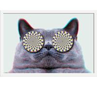 Cats - Poster - Eyes + cadre interchangeable, Shinsuke® Maxi MDF blanc, vitre acrylique