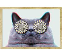 Cats - Poster - Eyes + cadre interchangeable, Shinsuke® Maxi MDF hêtre, vitre acrylique