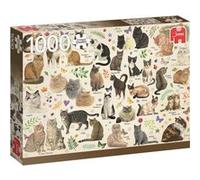 CATS POSTER G
