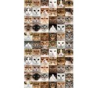 Cats, rideau imprimés visage de chats 140x245 cm, 1 part G