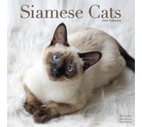 Cats - Siamese Calendar 2026 Square Cat Wall Calendar - 16 Month