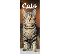 Cats Slim Calendar 2026 Cute Slimline Calendar - 12 Month