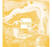 Catt – A Different Life – Vinyle 12" Gatefold – Broken Silence