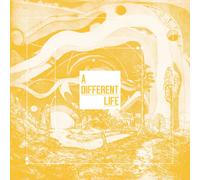 CATT A Different Life (Vinyl) 12" Album