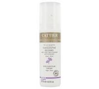 Cattier Éclat de Rose Concentré Regard Bio 15 ml - Flacon Airless 15 ml