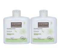 Cattier Shampooing Argile Verte Cuir Chevelu Gras 2x250 ml