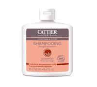 Cattier Shampooing Cheveux Gras Vinaigre de Romarin 250 ml Lot de 2