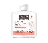 Cattier Shampooing Cheveux Regraissant Vite Vinaigre de Romarin 250 ml