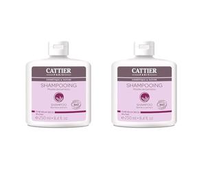 Cattier Shampooing Cheveux Secs Moelle de Bambou 250 ml (Lot de 2)