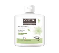 Cattier Shampooing Cheveux, Gras Argile Verte, Cuir Chevelu Gras, BIO, 250 ml