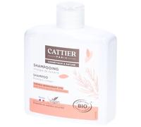 Cattier Shampooing Cheveux Regraissant Vite Vinaigre de Romarin 250 ml