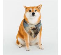 Cattle On The Prairie Bandana pour chiens de petite, moyenne et grande taille, écharpe triangulaire pour chat ou garçon