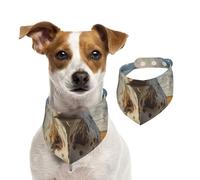 Cattle On The Prairie Bandana pour chiens de petite, moyenne et grande taille, écharpe triangulaire pour chat ou garçon