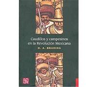 Caudillos y Campesionos en la Revolucion Mexicana D. a. Branding (Auteur)