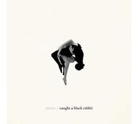 Phoria Caught a Black Rabbit (CD) Album