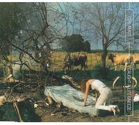 Caught A Little Sneeze