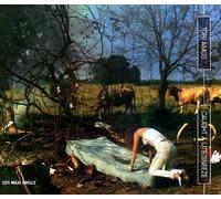 Caught a Little Sneeze by Tori Amos (1996-01-04)