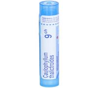 CAULOPHYLLUM TH. BOIRON 9CH tube-granules Granulés 80 g