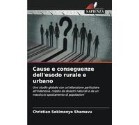 Cause e conseguenze dell'esodo rurale e urbano: Uno studio globale con un'attenzione particolare all'Indonesia, colpita da disastri naturali e da un massiccio spostamento di popolazioni