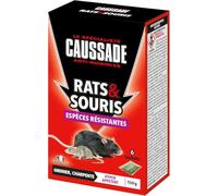 CAUSSADE Anti-Rats & Souris - 6 Sachets Céréales - 150g