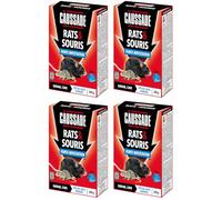 CAUSSADE Anti Rats & Souris - Efficacité Radicale - Lieux Très Humides - 40 Appâts Blocs - Prêt à l'emploi - Une Ingestion Suffit - 1200g CARSBL300NX4