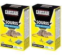 Caussade Anti-Souris - Forte Infestation - Lieux secs - 5 Sachets céréales - Prêt à l'emploi - Une Ingestion Suffit - Fabriqué en France - 100g - CASAE4N (Lot de 2)