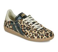 Baskets montantes femmes Caval LEO OBSESSION Multicolore 37