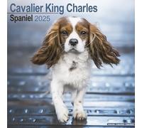 Cavalier King Charles Calendar 2025 Square Dog Breed Wall Calendar - 16 Month