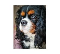 Cavalier King Charles Spaniel,1000-piece Puzzle for Adults,Large Jigsaw Puzzle Art for Adults and Teens,26x38cm