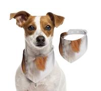 Cavalier King Charles Spaniel,Bandanas pour Chien, écharpe en Coton, Bavoirs réglables pour Animaux de Compagnie,M
