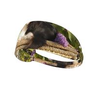 Cavalier King Charles Spaniel,Bandeau de Sport Unisexe, Bandeau élastique Multi-usages pour Cheveux