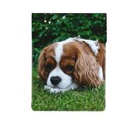 Cavalier King Charles Spaniel Blanc Brunâtre,Housse en Cuir synthétique pour Ordinateur Portable, Sacoche pour Ordinateur Portable, Sacoche pour Tablette